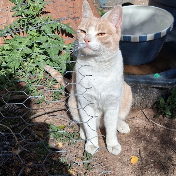 Threft Prevention - Picture 7 of 8